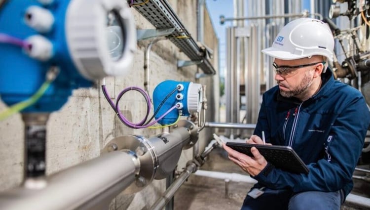 Endress hauser partner controllo di processo