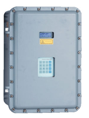 analizzatore acido solfidrico Endress+Hauser